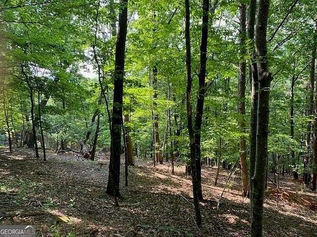 0.93 Acres of Residential Land for Sale in Big Canoe, Georgia