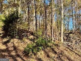 0.77 Acres of Residential Land for Sale in Lavonia, Georgia