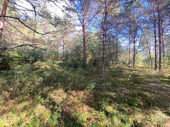 2.5 Acres of Land for Sale in Forestport, New York