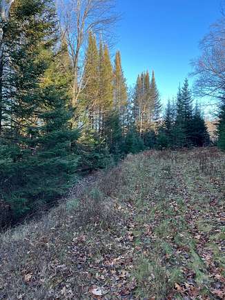 5.42 Acres of Land for Sale in Eagle River, Wisconsin