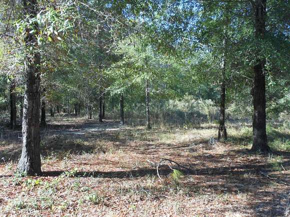 4.96 Acres of Land for Sale in Waynesboro, Georgia