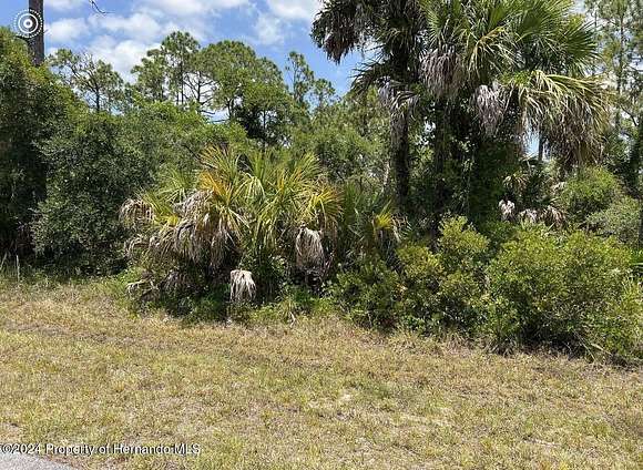 0.23 Acres of Residential Land for Sale in Port Charlotte, Florida