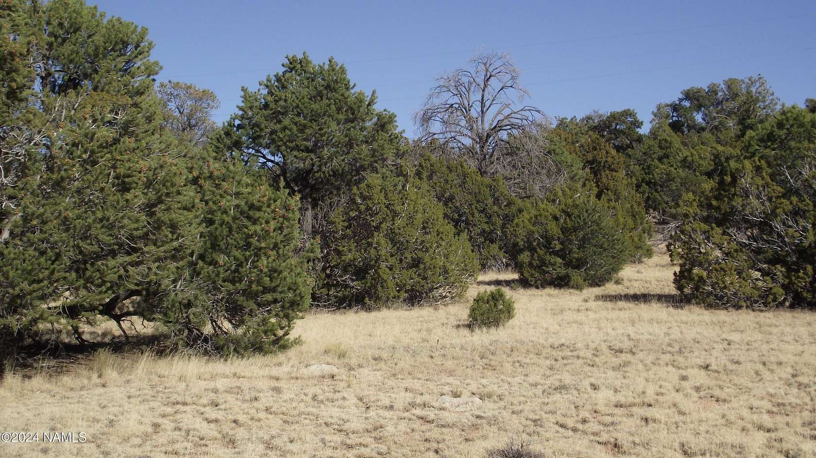 1 Acre of Residential Land for Sale in Williams, Arizona