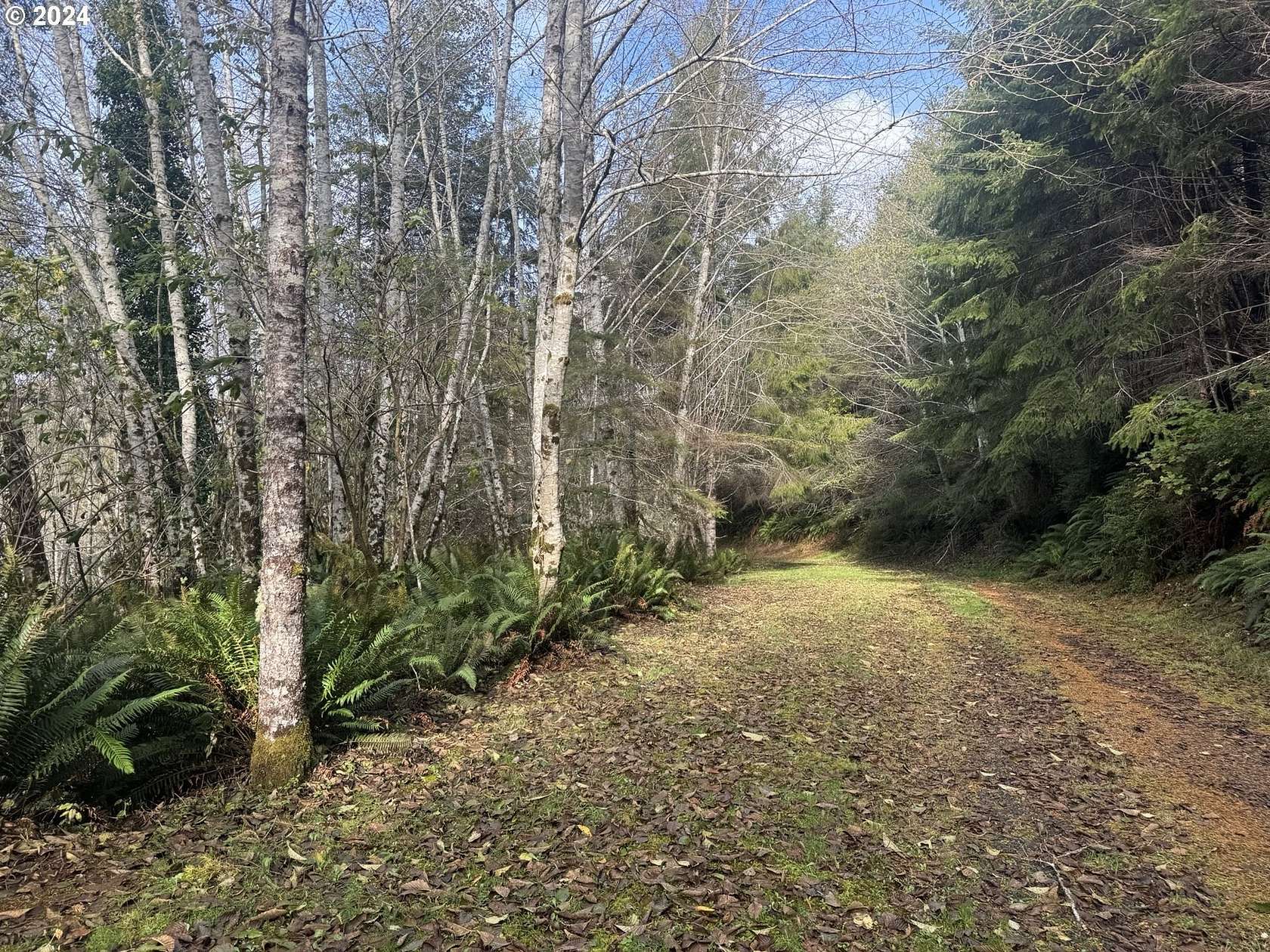 5 Acres of Residential Land for Sale in Lakeside, Oregon