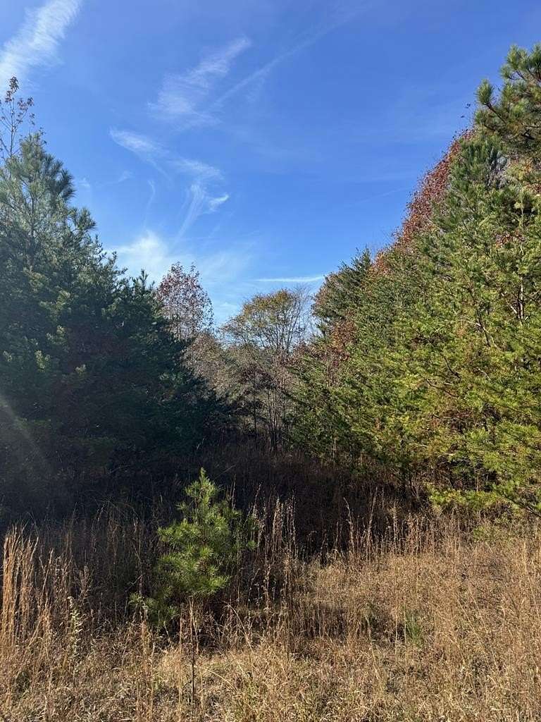 27.44 Acres of Recreational Land for Sale in Meherrin, Virginia