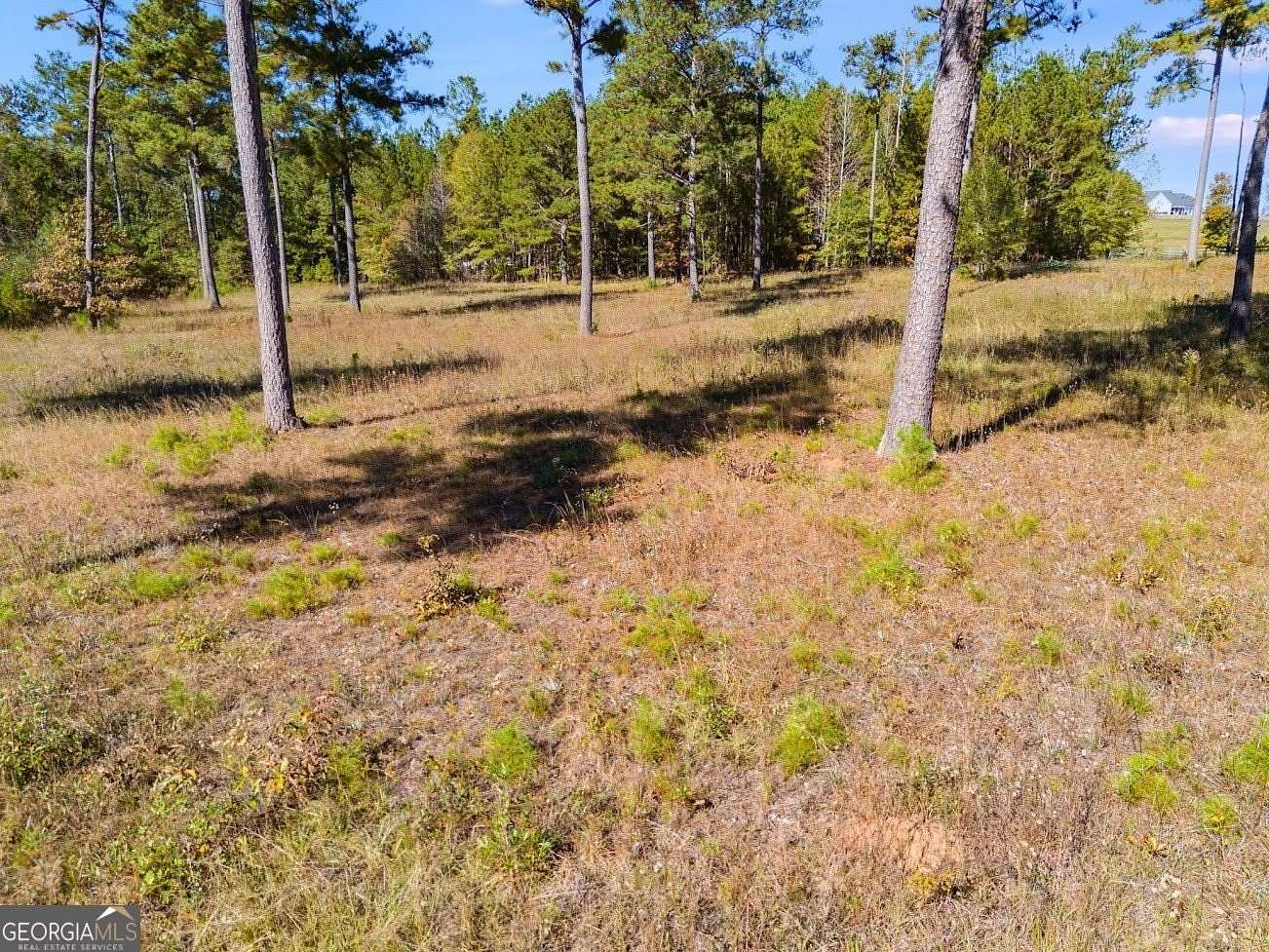 16 Acres of Land for Sale in Lanett, Alabama