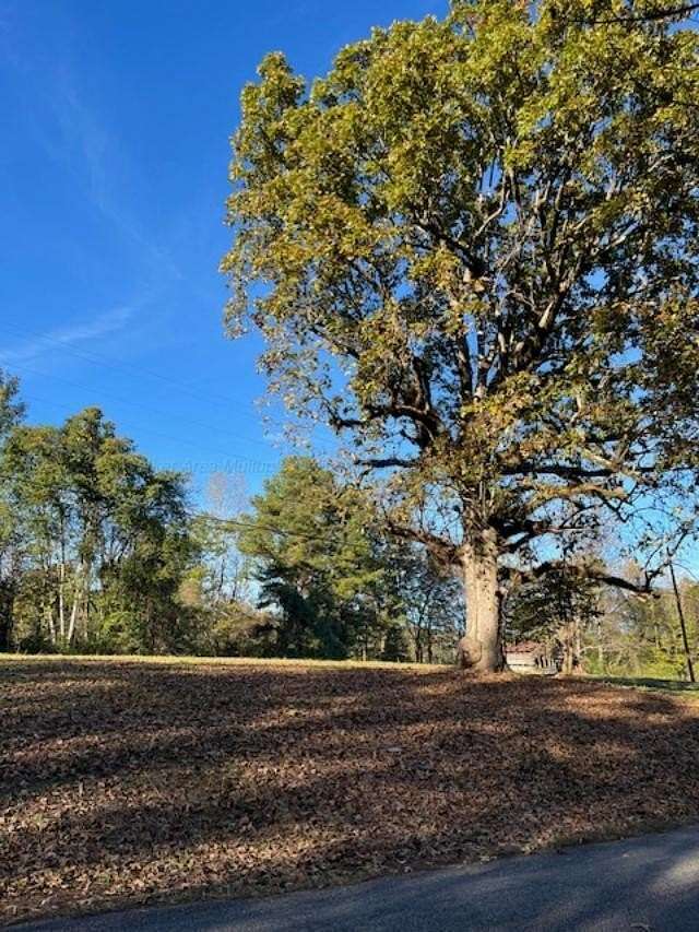 Land for Sale in Carbon Hill, Alabama