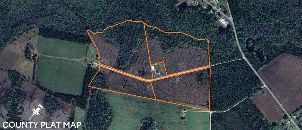 68.21 Acres of Land for Sale in Manor, Georgia