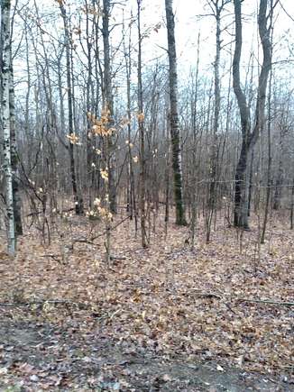 Land for Sale in Elmira, Michigan