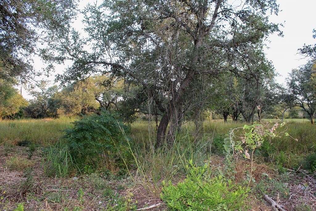 0.58 Acres of Residential Land for Sale in Beeville, Texas