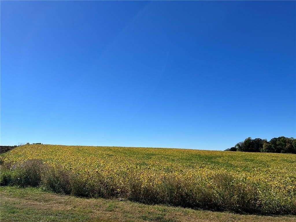 120 Acres of Agricultural Land for Sale in Battle Lake, Minnesota