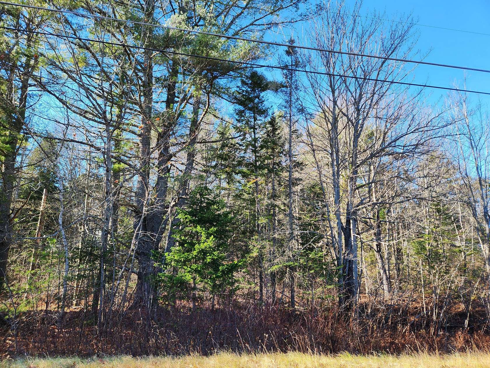 24.64 Acres of Recreational Land for Sale in Whitefield, Maine