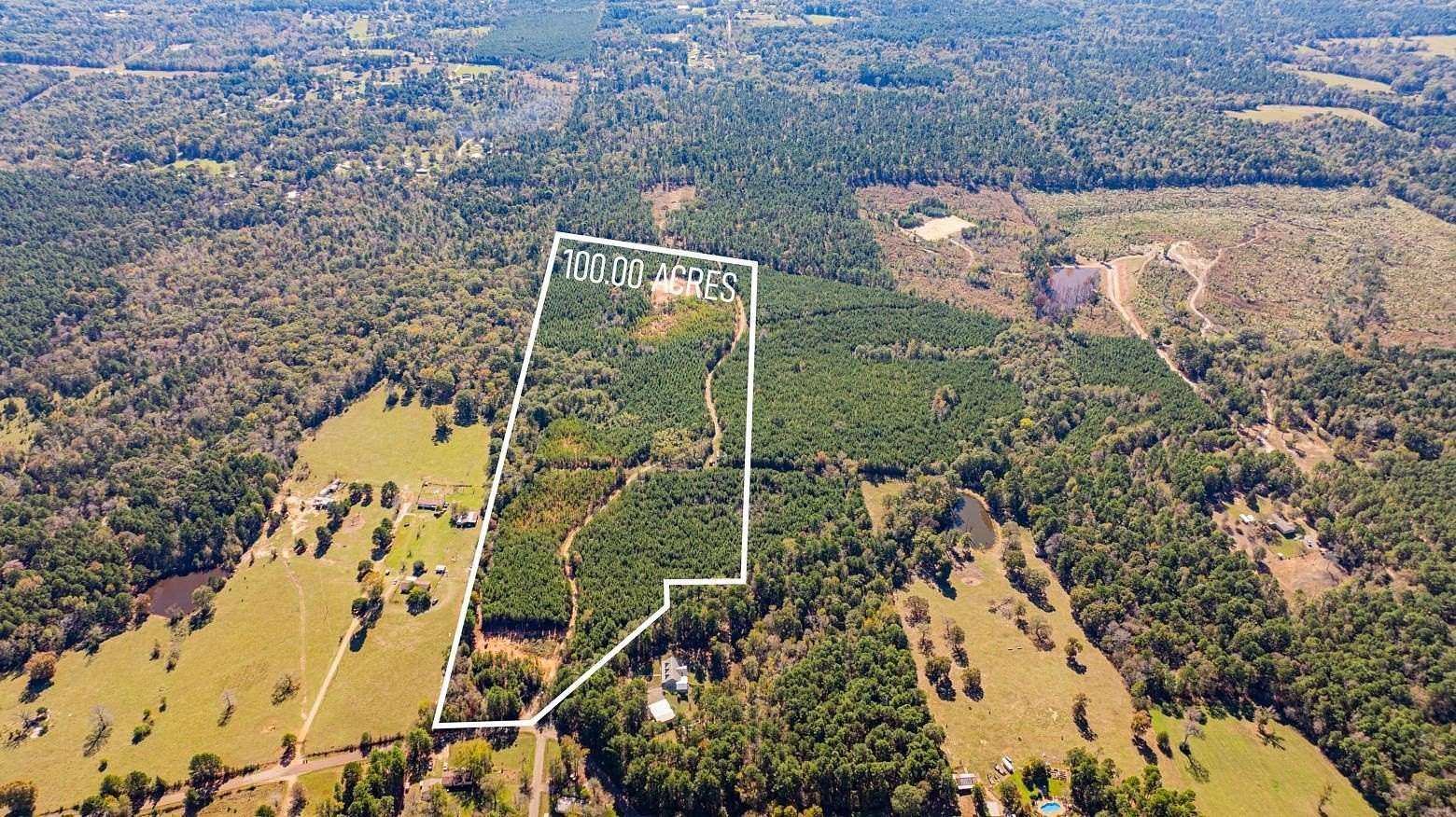 101 Acres of Recreational Land for Sale in Hallsville, Texas