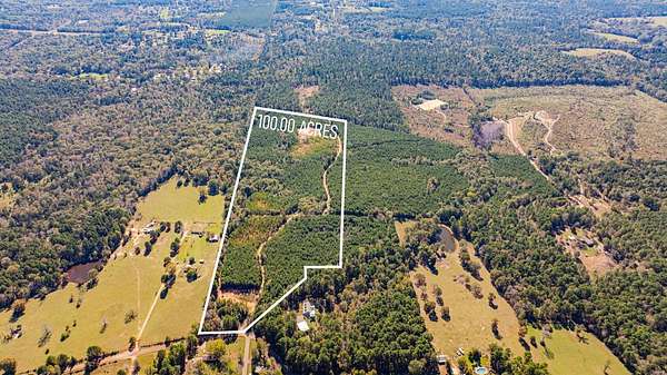 101 Acres of Recreational Land for Sale in Hallsville, Texas
