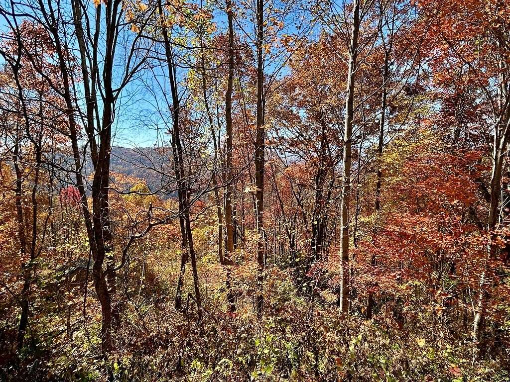 3.37 Acres of Land for Sale in Bryson City, North Carolina