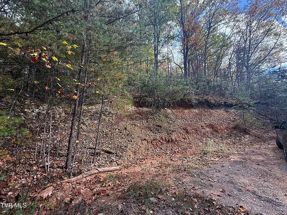 1.41 Acres of Land for Sale in Cosby, Tennessee