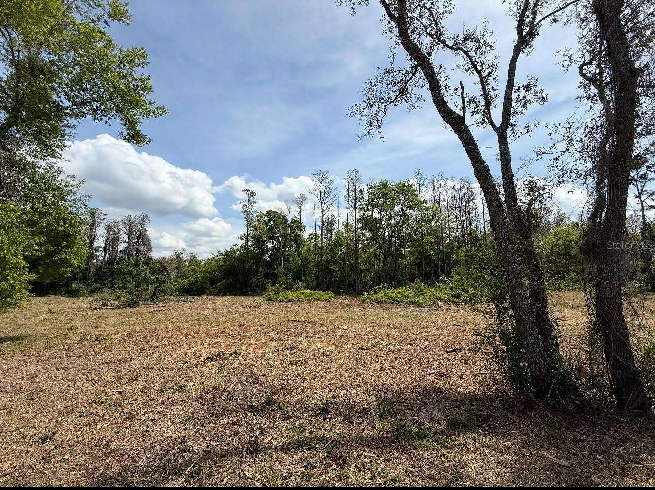 5 Acres of Residential Land for Sale in New Port Richey, Florida