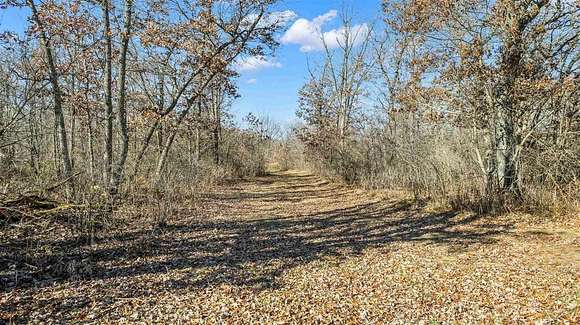 28.12 Acres of Recreational Land for Sale in Almond, Wisconsin