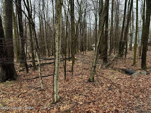 0.45 Acres of Land for Sale in Pocono Lake, Pennsylvania