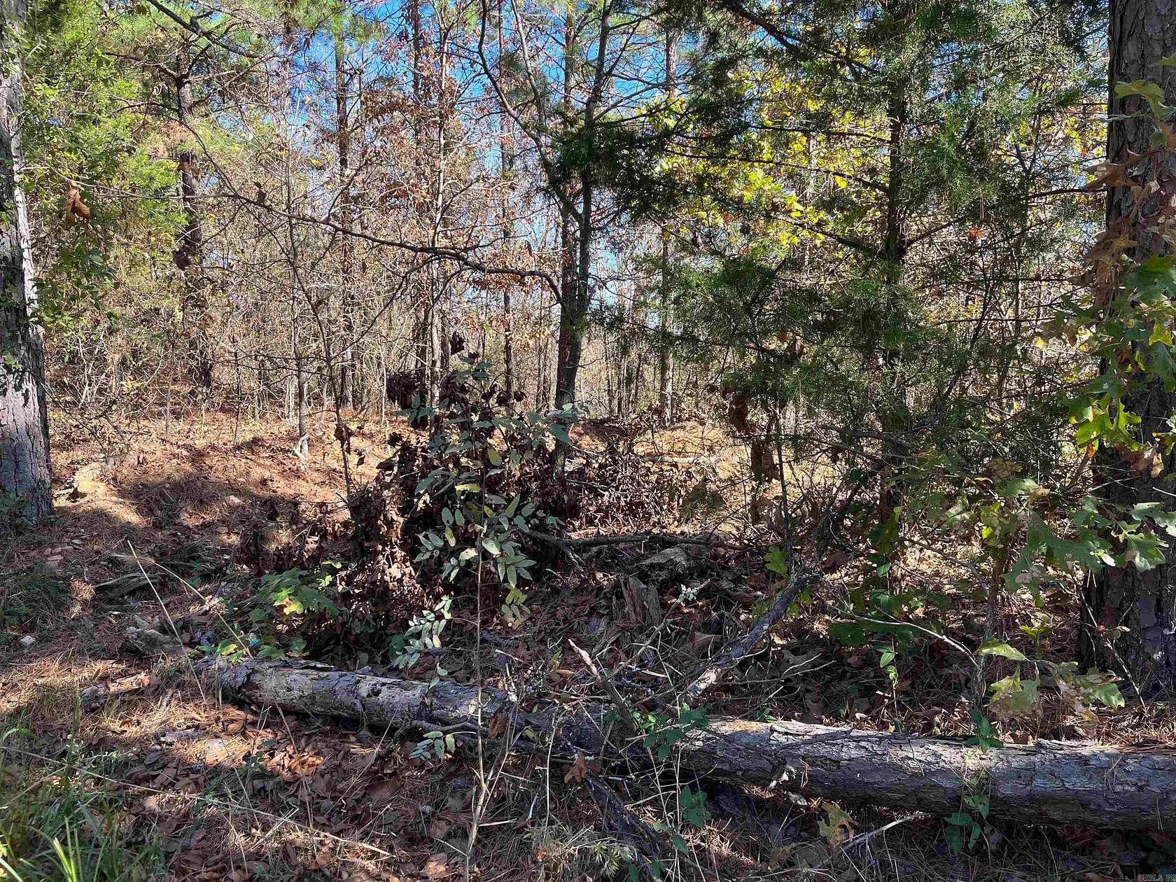 4.75 Acres of Residential Land for Sale in Conway, Arkansas