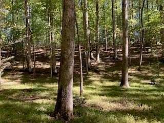 4.66 Acres of Residential Land for Sale in Ellijay, Georgia