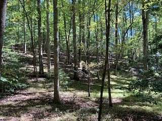 4.66 Acres of Residential Land for Sale in Ellijay, Georgia