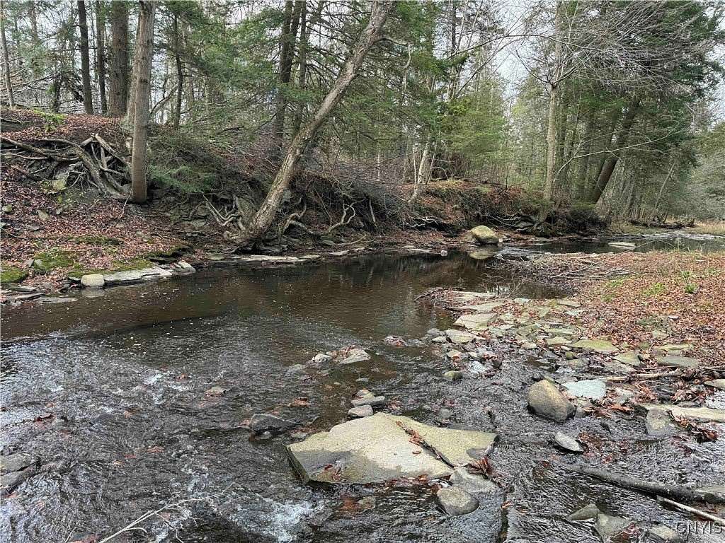 40 Acres of Land for Sale in Ripley, New York