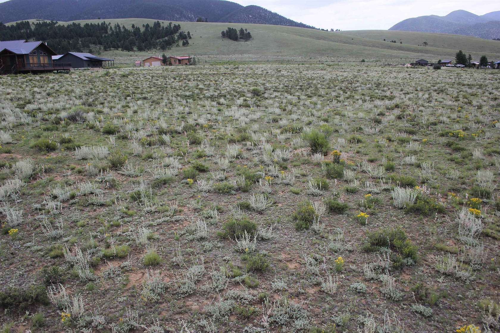 1 Acre of Residential Land for Sale in Eagle Nest, New Mexico