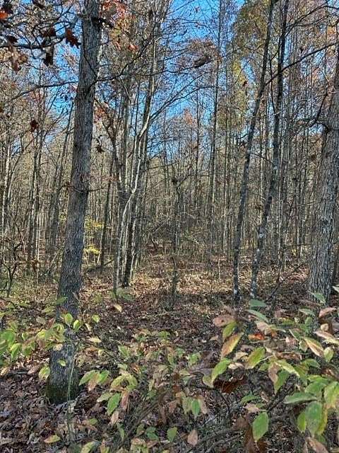 5.07 Acres of Residential Land for Sale in Wilder, Tennessee