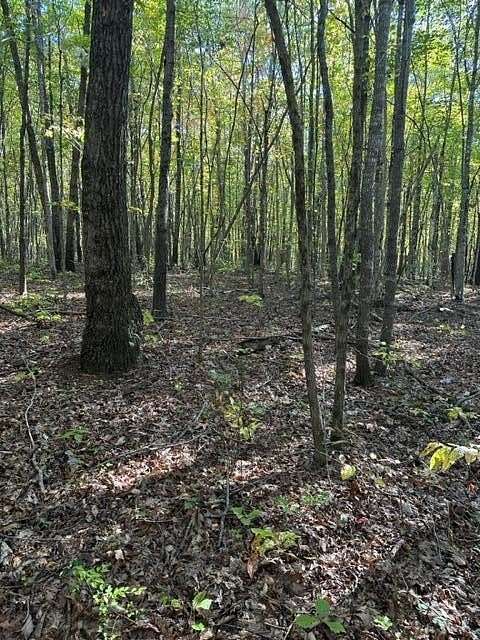 5.19 Acres of Residential Land for Sale in Wilder, Tennessee