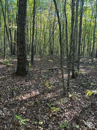 5.19 Acres of Residential Land for Sale in Wilder, Tennessee