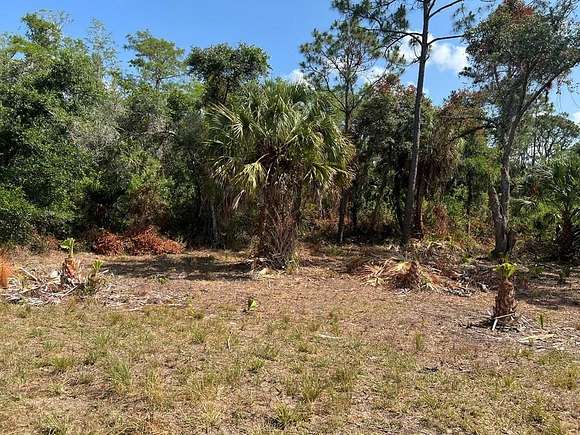 0.29 Acres of Residential Land for Sale in Lehigh Acres, Florida