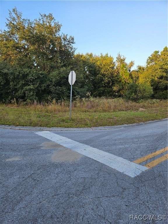 0.22 Acres of Residential Land for Sale in Inverness, Florida