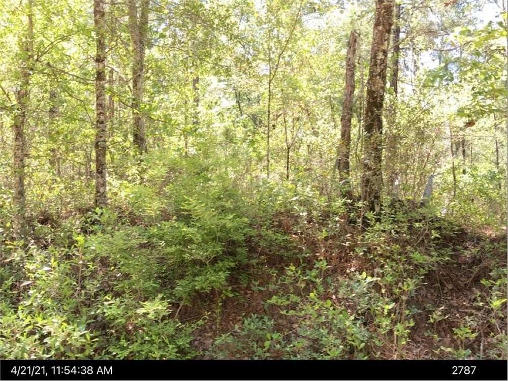 14.68 Acres of Land for Sale in Hazlehurst, Georgia