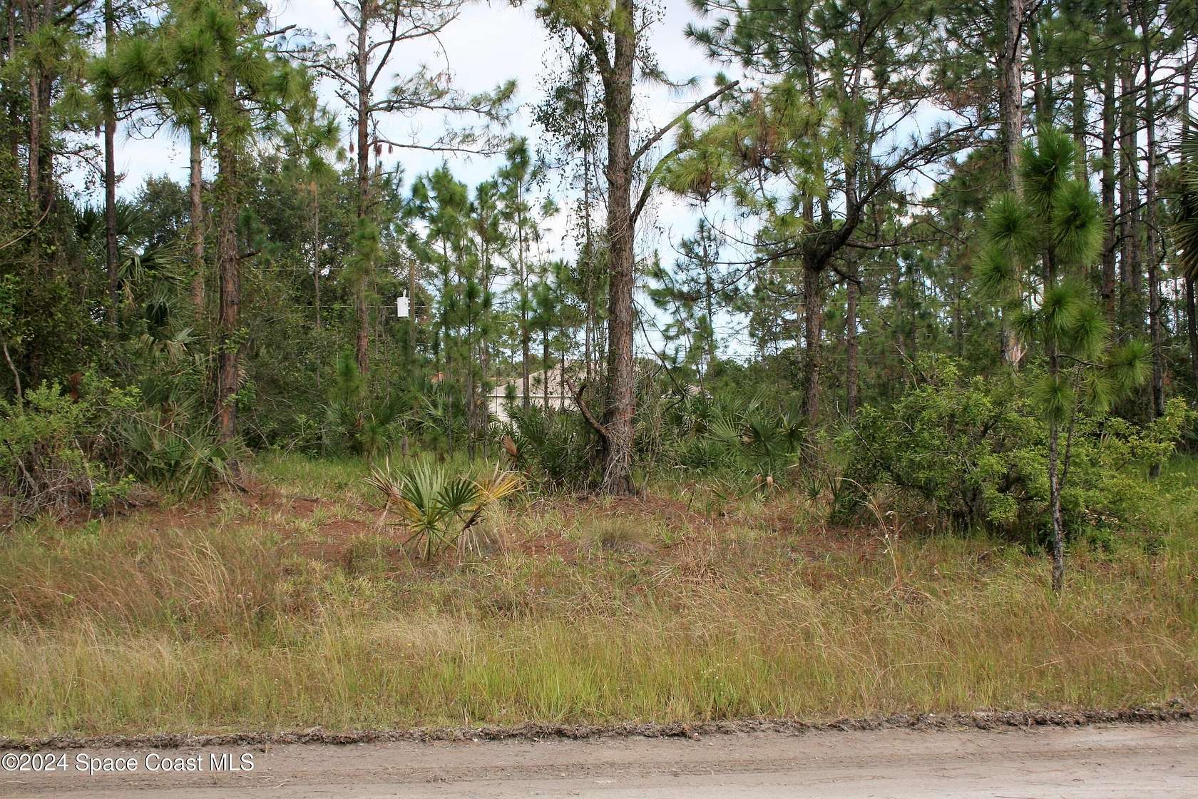 0.31 Acres of Residential Land for Sale in Palm Bay, Florida