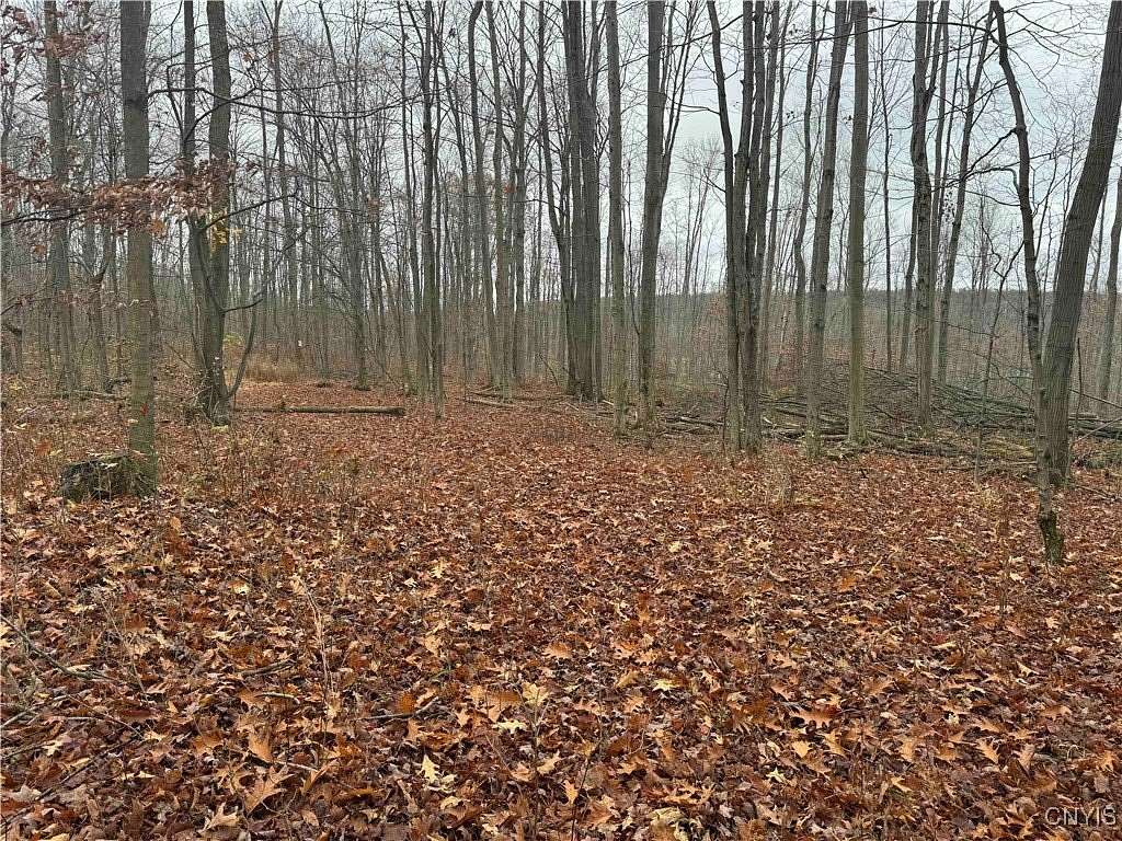 7.3 Acres of Residential Land for Sale in Ellington, New York