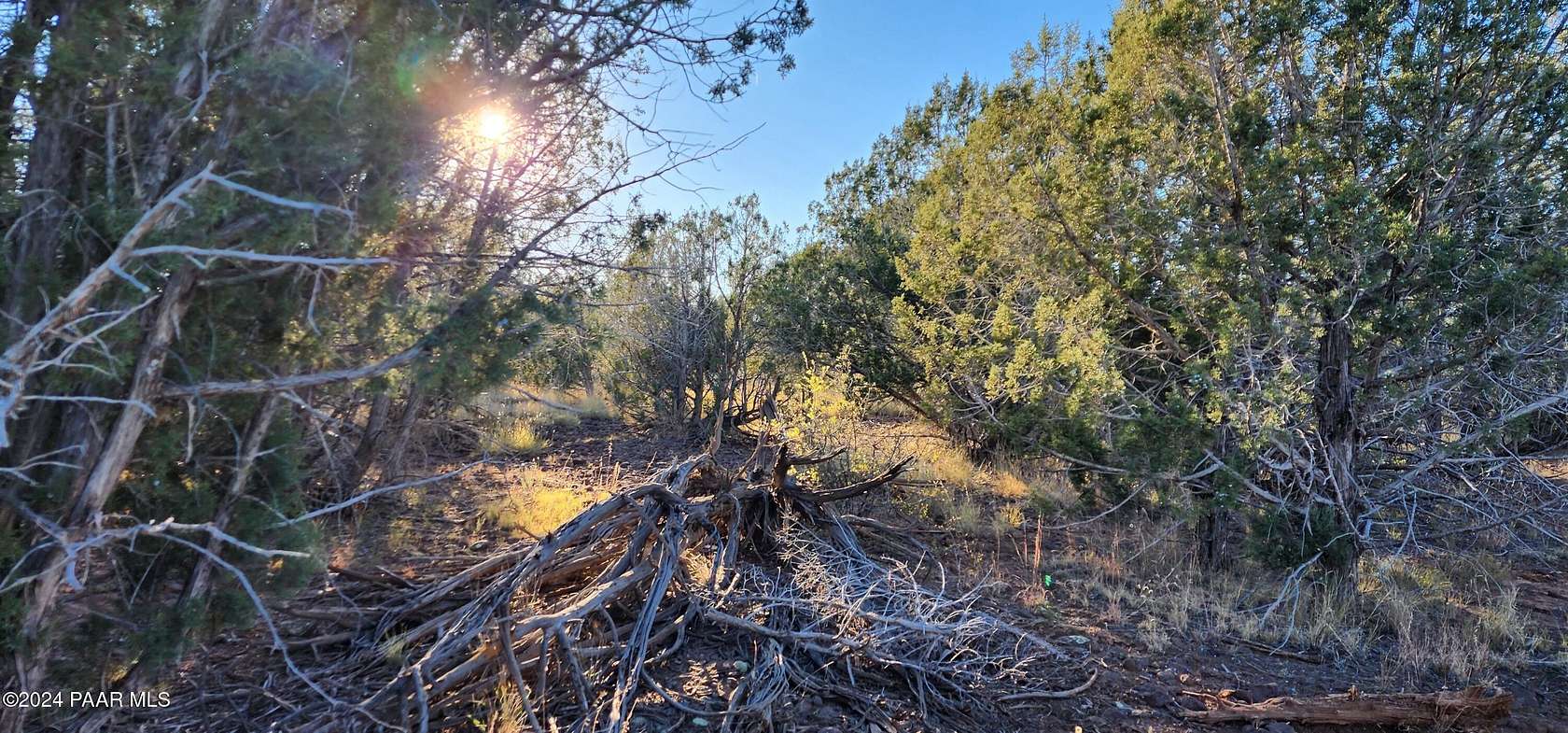 10.03 Acres of Land for Sale in Ash Fork, Arizona