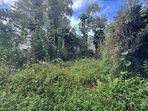 0.185 Acres of Land for Sale in Pahoa, Hawaii