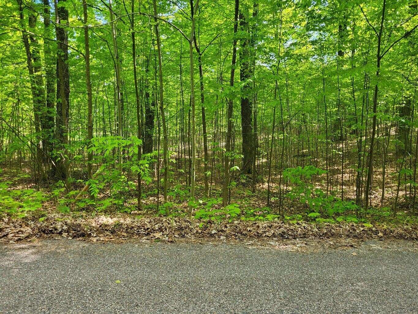 Residential Land for Sale in Vanderbilt, Michigan