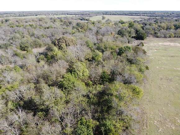 63 Acres of Agricultural Land for Sale in Celeste, Texas