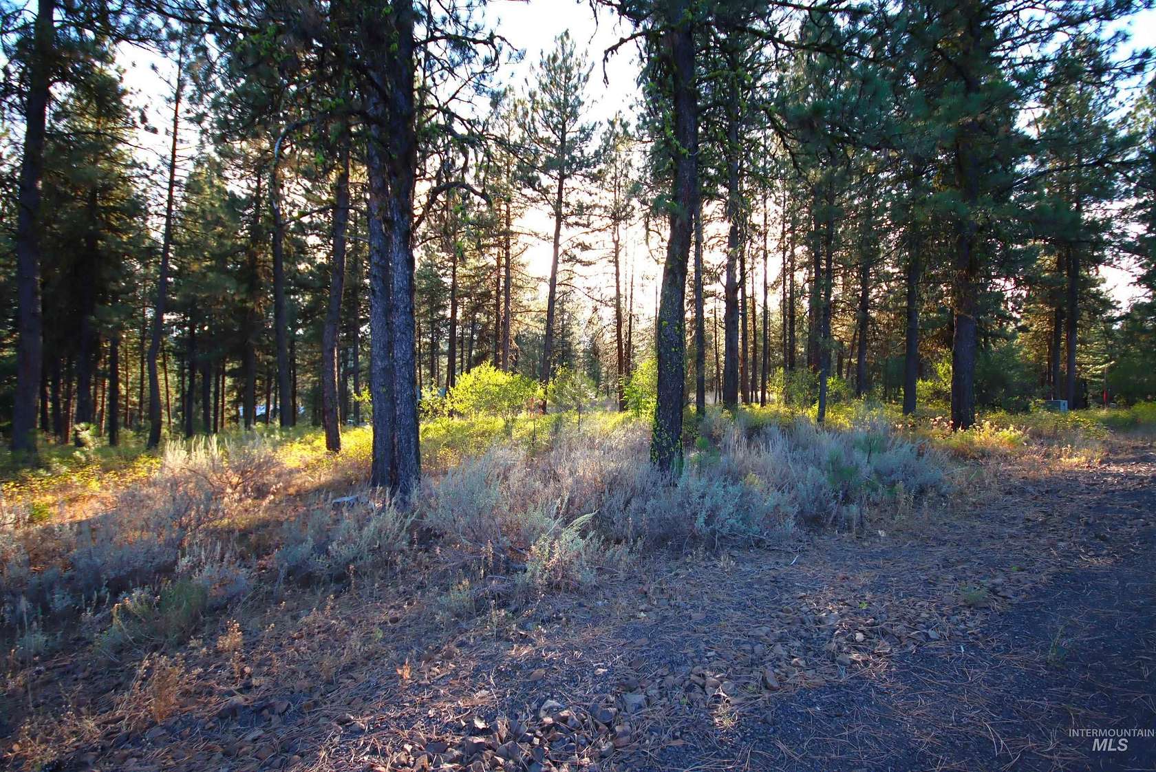 1.03 Acres of Residential Land for Sale in New Meadows, Idaho