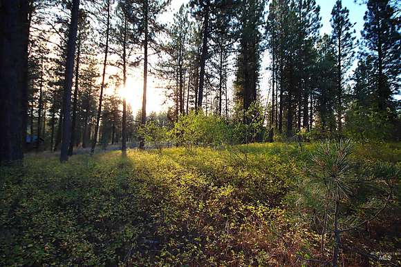 1.03 Acres of Residential Land for Sale in New Meadows, Idaho