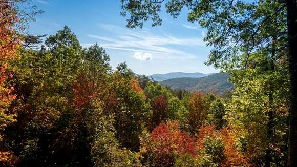 2.22 Acres of Residential Land with Home for Sale in Cherry Log, Georgia