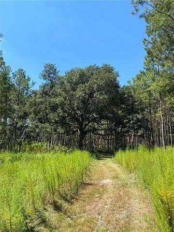 12 Acres of Land for Sale in Holden, Louisiana