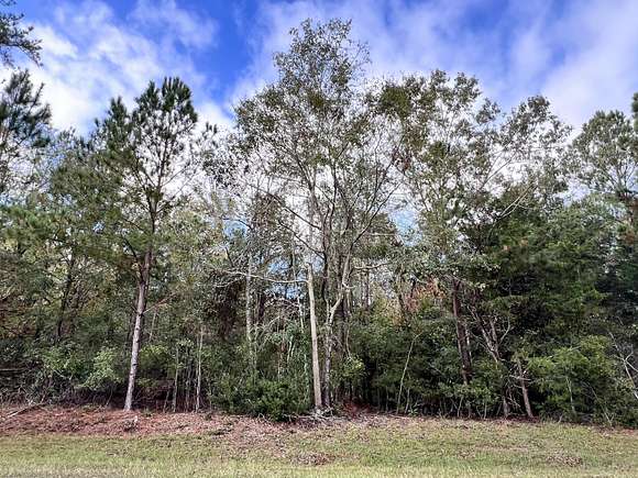 13.25 Acres of Recreational Land for Sale in Appling, Georgia