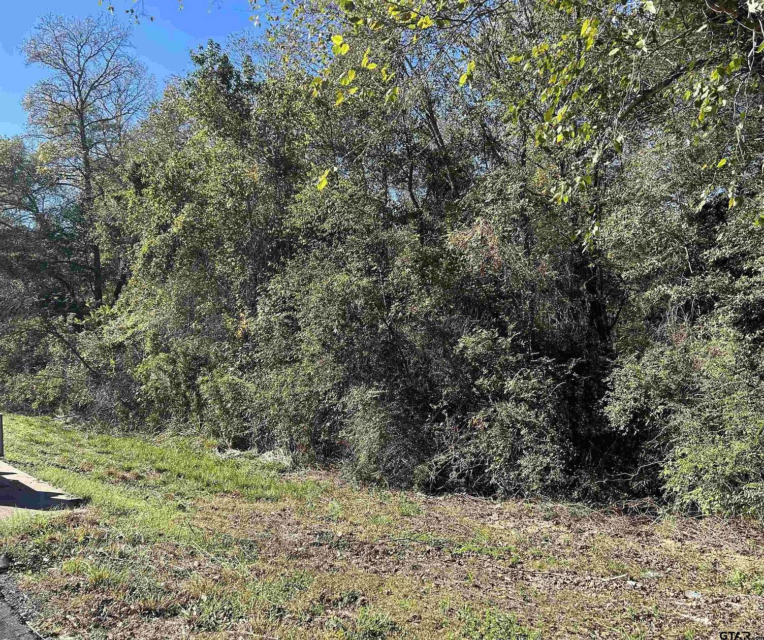 0.831 Acres of Residential Land for Sale in Gilmer, Texas