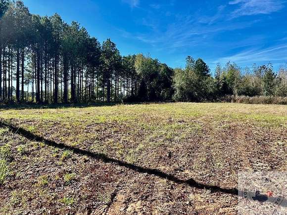 0.86 Acres of Residential Land for Sale in Queen City, Texas