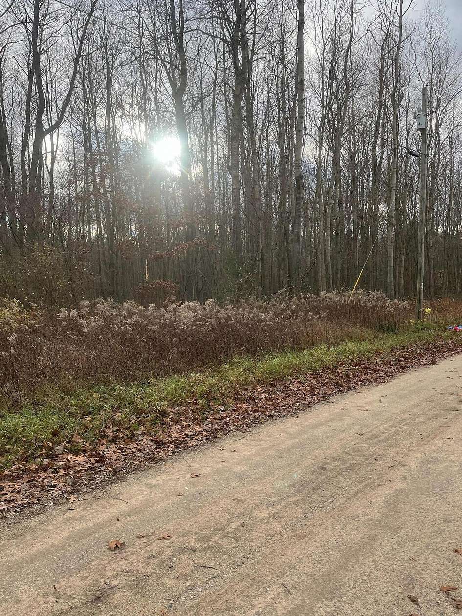 2 Acres of Residential Land for Sale in Stanton, Michigan