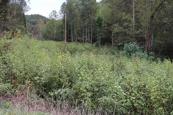 29 Acres of Land for Sale in Royalton, Kentucky