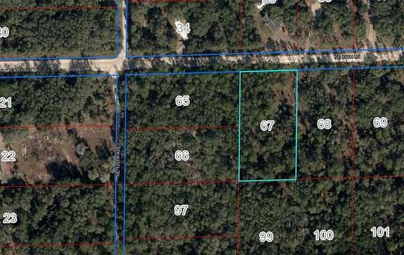 1.25 Acres of Residential Land for Sale in Bronson, Florida